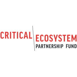   <a target="blank" href="https://www.cepf.net/grants/grantee-projects/developing-sustainable-model-certified-fisheries-protection-cabo-verdes">Fundo de Parceria de Ecossistemas Críticos</a>